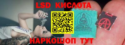 не бодяженный Гай