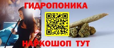 не бодяженный Гай