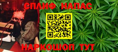 скорость Гагарин