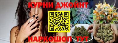 скорость Гагарин
